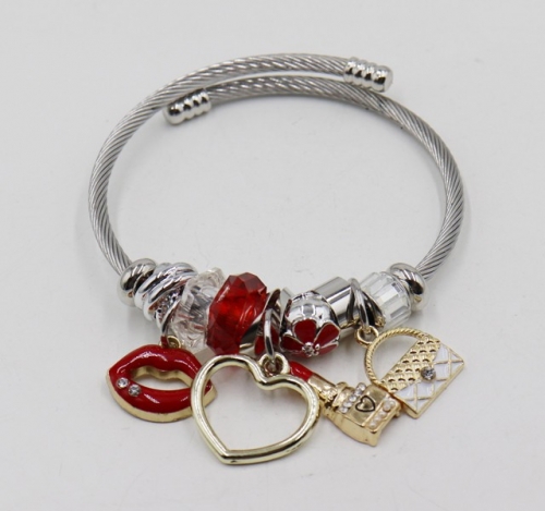 Stainless Steel Bangle with alloy copper charms-DH211112-IMG_6931-9