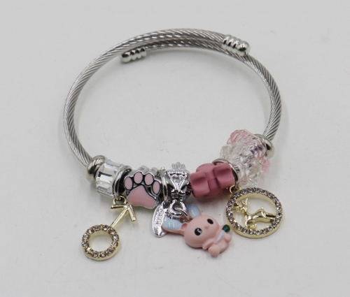 Stainless Steel Bangle with alloy copper charms-DH211112-IMG_6929-9