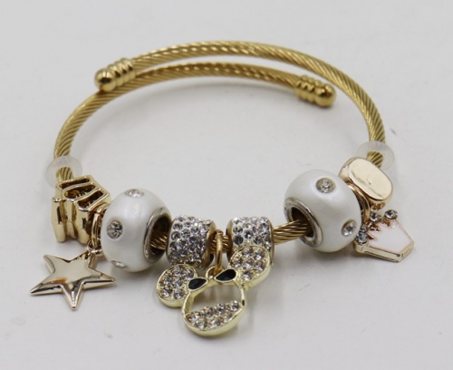 Stainless Steel Bracelet with alloy copper charms-DN21114-IMG_7090-11