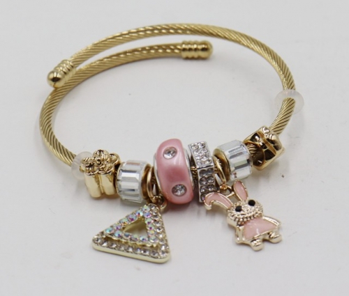 Stainless Steel Bracelet with alloy copper charms-DN21114-IMG_7088-11