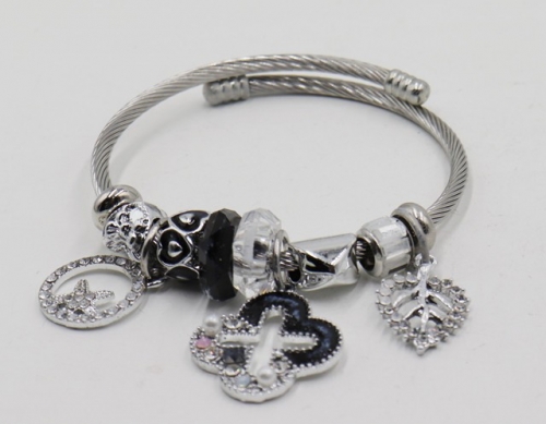 Stainless Steel Bangle with alloy copper charms-DH211112-IMG_6931-9