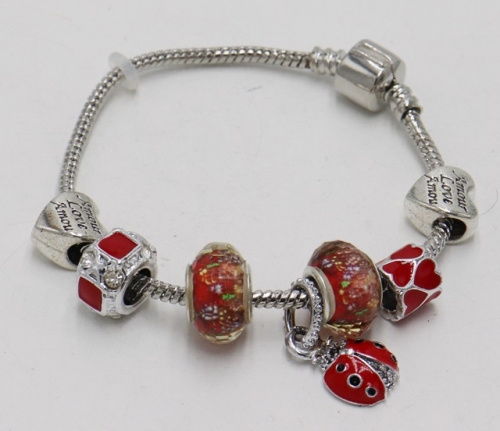 Stainless Steel Bracelet with alloy copper charms-DN211130-IMG_7727-9