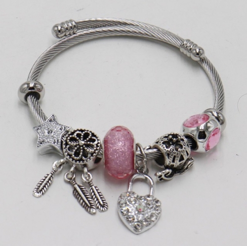 Stainless Steel Bracelet with alloy copper charms-DN211130-IMG_7698-9