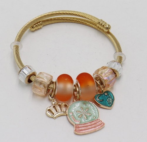 Stainless Steel Bracelet with alloy copper charms-DN211130-IMG_7826-11