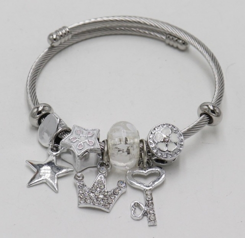 Stainless Steel Bracelet with alloy copper charms-DN211130-IMG_7715-9