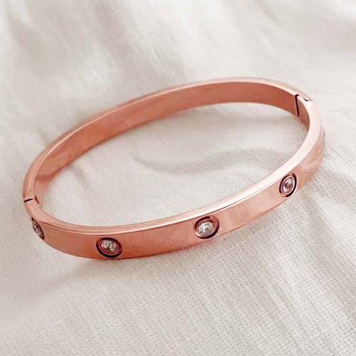 Stainless Steel Brand Bangle-RR210113-Rrs04003-17