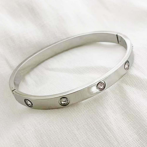 Stainless Steel Brand Bangle-RR210113-Rrs04001-15