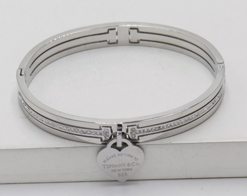 Stainless Steel Brand Bangle-SHK220304-IMG_8355