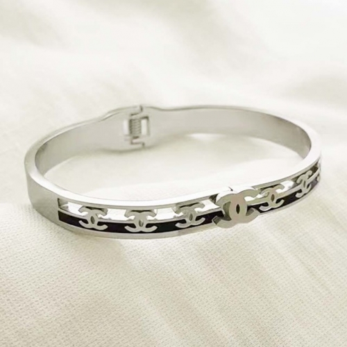 Stainless Steel Brand Bangle-RR220307-Rrs04017-23