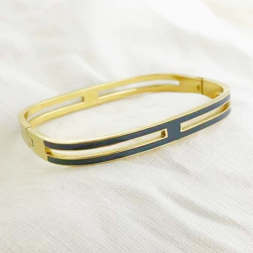 Stainless Steel Brand Bangle-RR220310-Rrs04038-24