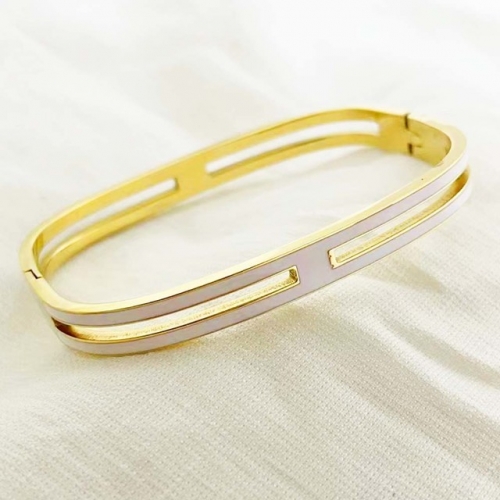 Stainless Steel Brand Bangle-RR220310-Rrs04040-24