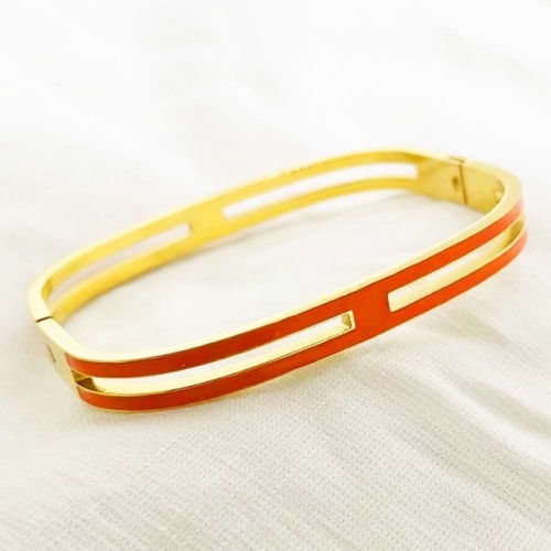 Stainless Steel Brand Bangle-RR220310-Rrs04039-24