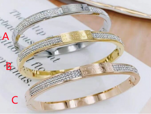 Stainless Steel Brand Bangle-photo shows-B