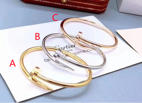 Stainless Steel Brand Bangle-photo shows-A