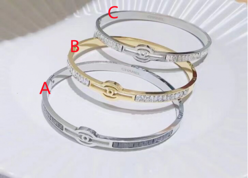 Stainless Steel Brand Bangle-photo shows-C