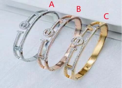 Stainless Steel Brand Bangle-photo shows-C