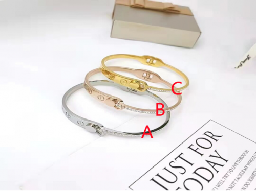 Stainless Steel Brand Bangle-photo shows-B