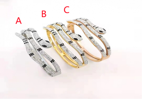 Stainless Steel Brand Bangle-photo shows-A