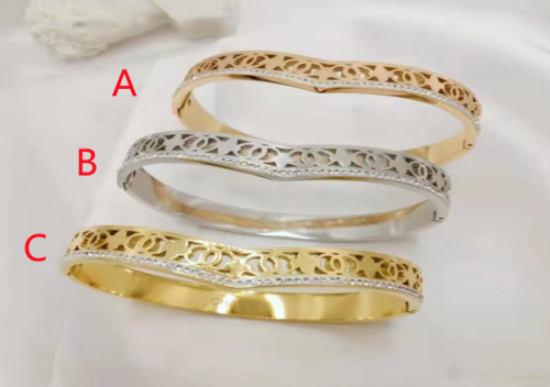 Stainless Steel Brand Bangle-photo shows-C