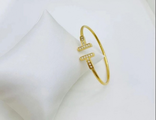 Stainless Steel Brand Bangle-XG220316-P16