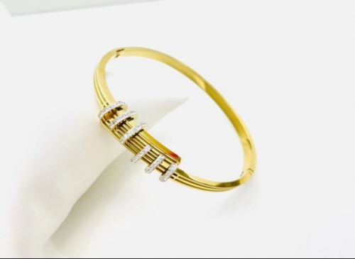 Stainless Steel Brand Bangle-XG220316-P18YU