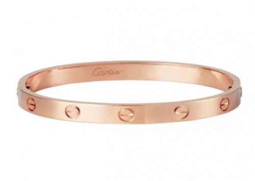 Stainless Steel Brand Bangle-XG220316-P12K