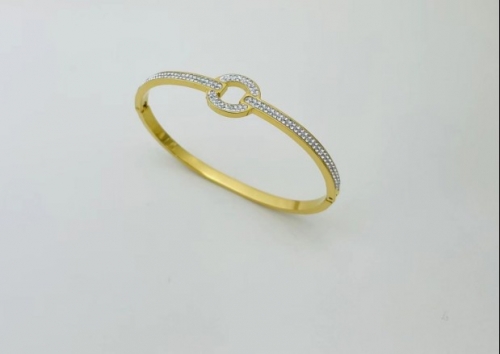 Stainless Steel Brand Bangle-XG220316-P17R