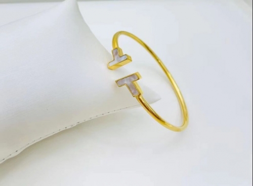 Stainless Steel Brand Bangle-XG220316-P16GH