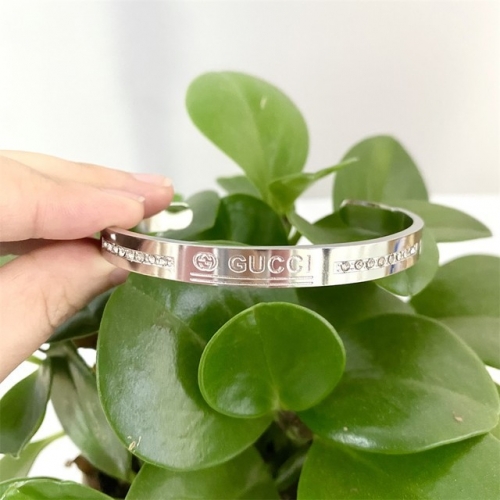 Stainless Steel Brand Bangle-HY220322-P12Y