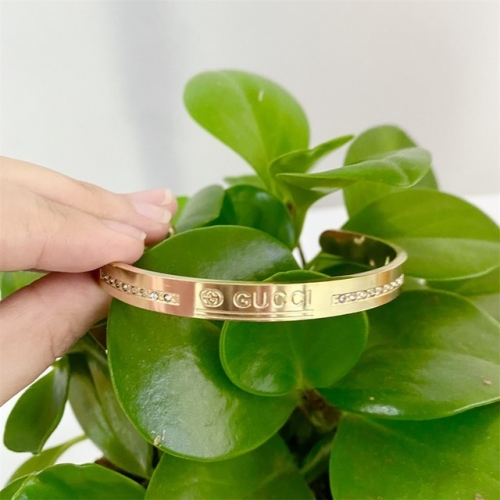 Stainless Steel Brand Bangle-HY220322-P14G