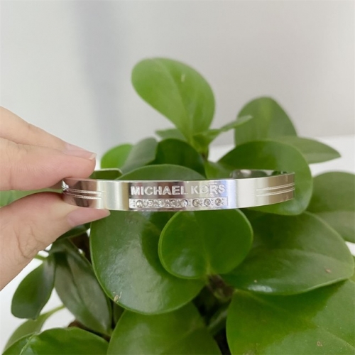 Stainless Steel Brand Bangle-HY220322-P12H