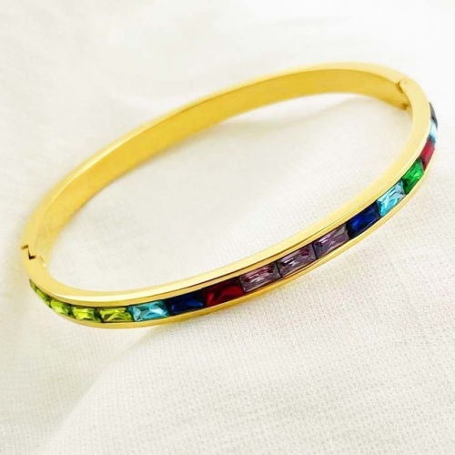 Stainless Steel Brand Bangle-RR220412-Rrs04054-24