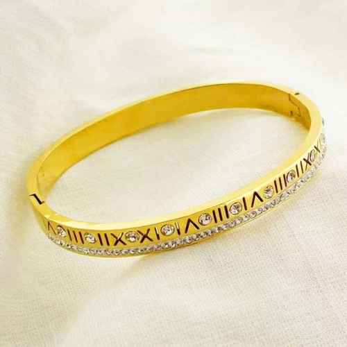 Stainless Steel Brand Bangle-RR220412-Rrs04057-24