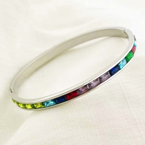 Stainless Steel Brand Bangle-RR220412-Rrs04053-23