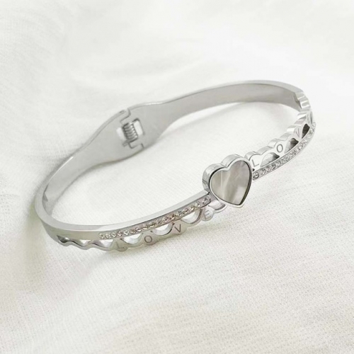 Stainless Steel Brand Bangle-RR220412-Rrs04049-23