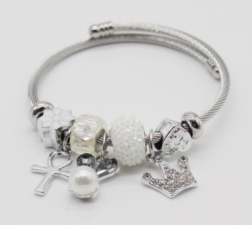 Stainless Steel Bracelet with alloy copper charms-DN220413-IMG_9306