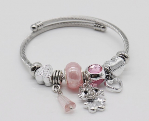 Stainless Steel Bracelet with alloy copper charms-DN220413-IMG_9325