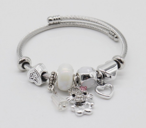 Stainless Steel Bracelet with alloy copper charms-DN220413-IMG_9324