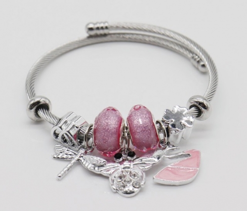 Stainless Steel Bracelet with alloy copper charms-DN220413-IMG_9307