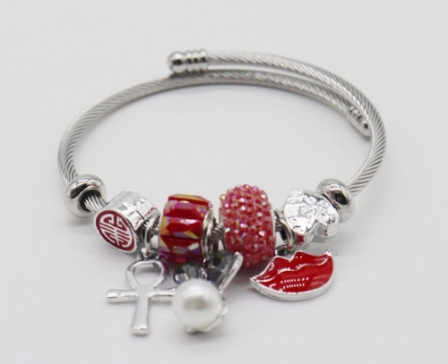 Stainless Steel Bracelet with alloy copper charms-DN220413-IMG_9328