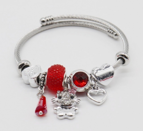 Stainless Steel Bracelet with alloy copper charms-DN220413-IMG_9308