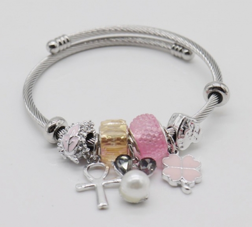 Stainless Steel Bracelet with alloy copper charms-DN220413-IMG_9323