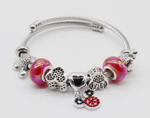 Stainless Steel Bracelet with alloy copper charms-DN220413-IMG_9322