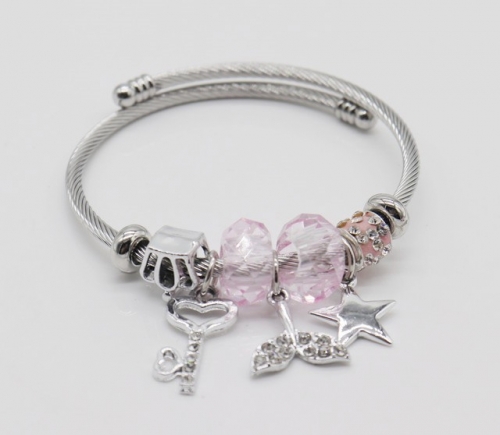 Stainless Steel Bracelet with alloy copper charms-DN220413-IMG_9318