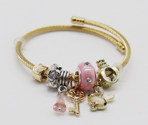 Stainless Steel Bracelet with alloy copper charms-DN220413-IMG_9376