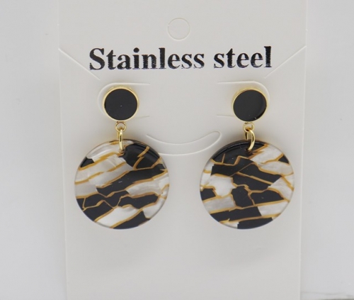 Stainless Steel Earrings-BY220506-IMG_9756