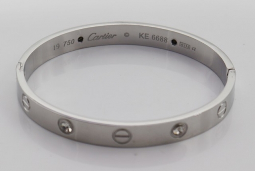 Stainless Steel Brand Bangle-BY220506-IMG_9612