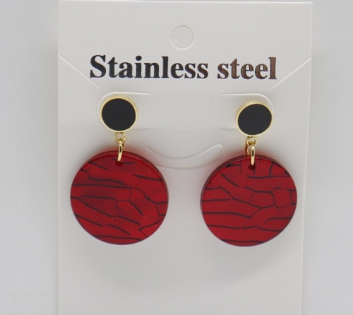 Stainless Steel Earrings-BY220506-IMG_9759