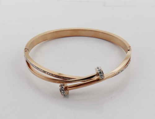 Stainless Steel Brand Bangle-SHK220508-IMG_0026