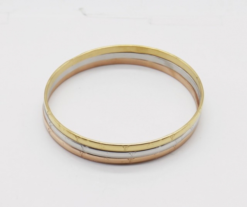 Stainless Steel Brand Bangle-SHK220508-IMG_0104